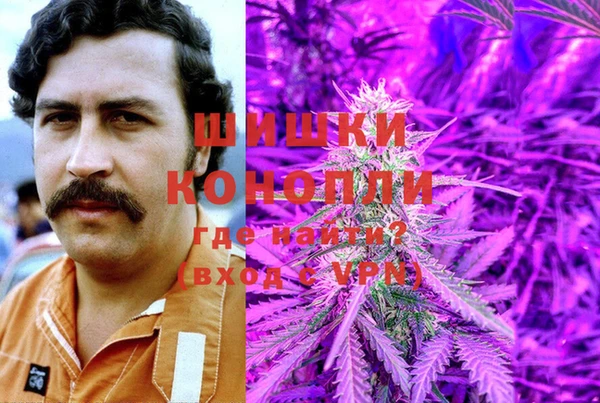 МДПВ Каменка