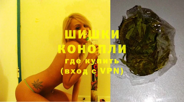 МДПВ Каменка