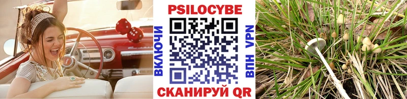 Купить  Губкинский  Галлюциногенные грибы MAGIC MUSHROOMS 